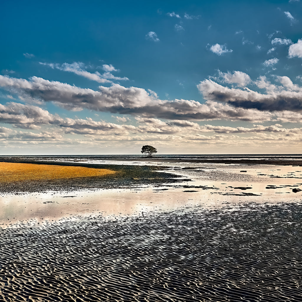 Nexus | Johann Montet Fine Art Photography | Far North Queensland