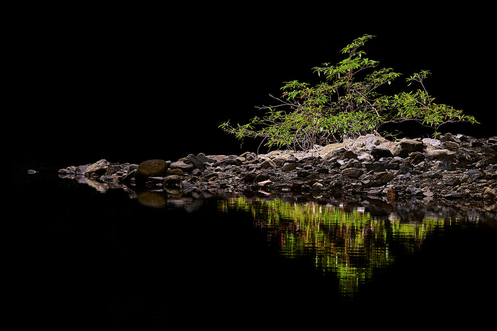 Reflections | Johann Montet Fine Art Photography | Far North Queensland